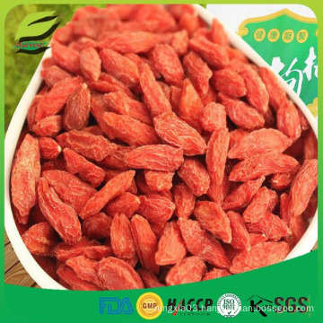 FDA and Kosher certified goji berries for 2016 crop